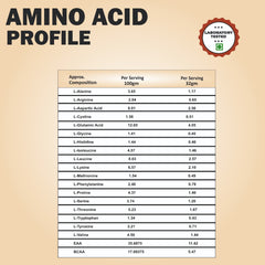 MEDISYS WHEY PROTEIN