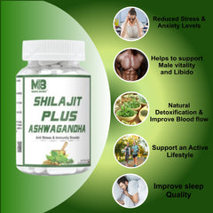 Medisys- Multivitamin and Shilajit Combo Pack