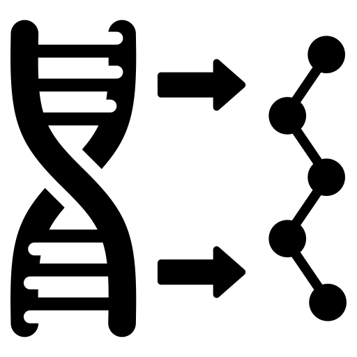 Muscle Protein Synthesis